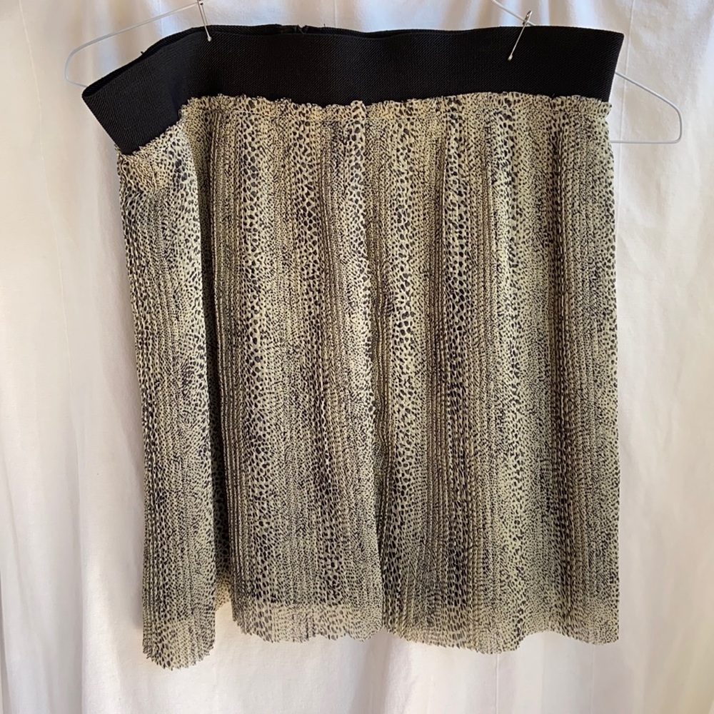 Zara skirt NWT
